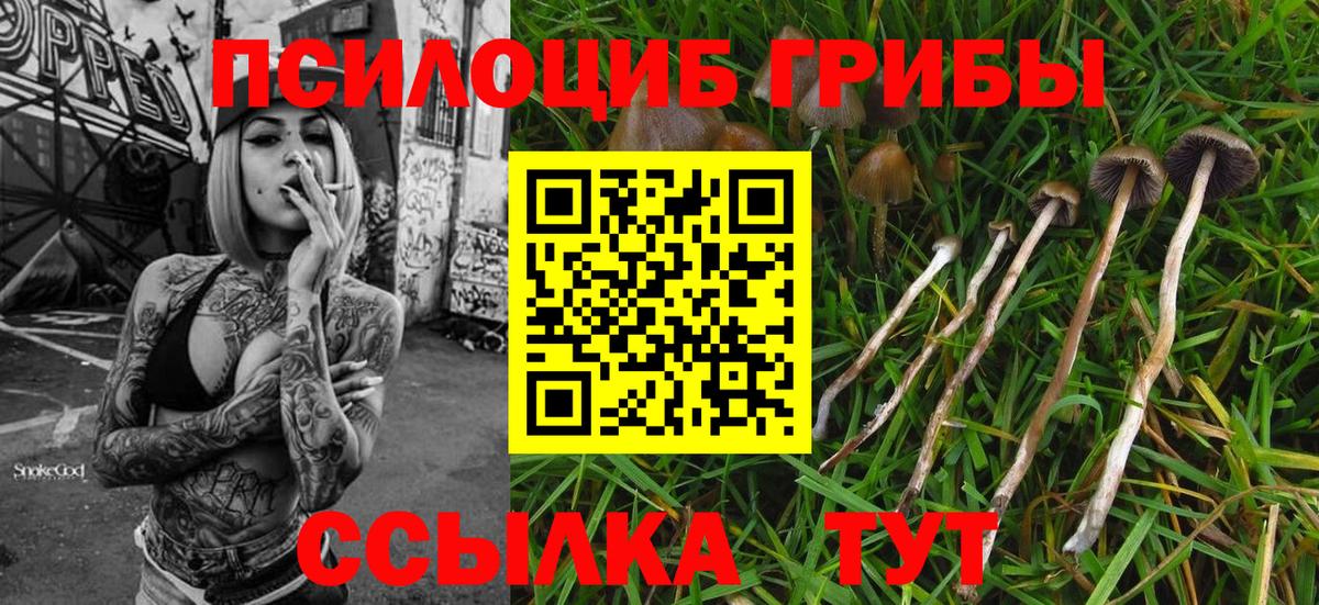 Ростов Великий  Галлюциногенные грибы ЛСД  Вход с VPN  Псилоцибиновые грибы Psilocybe 
